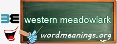 WordMeaning blackboard for western meadowlark